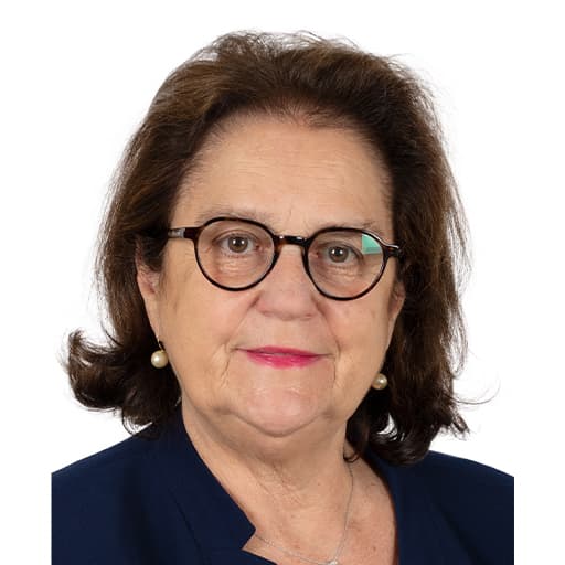 Mme Brigitte Micouleau